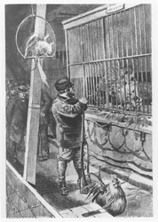 Illustration från "Tartarin de Tarascon", av Alphonse Daudet